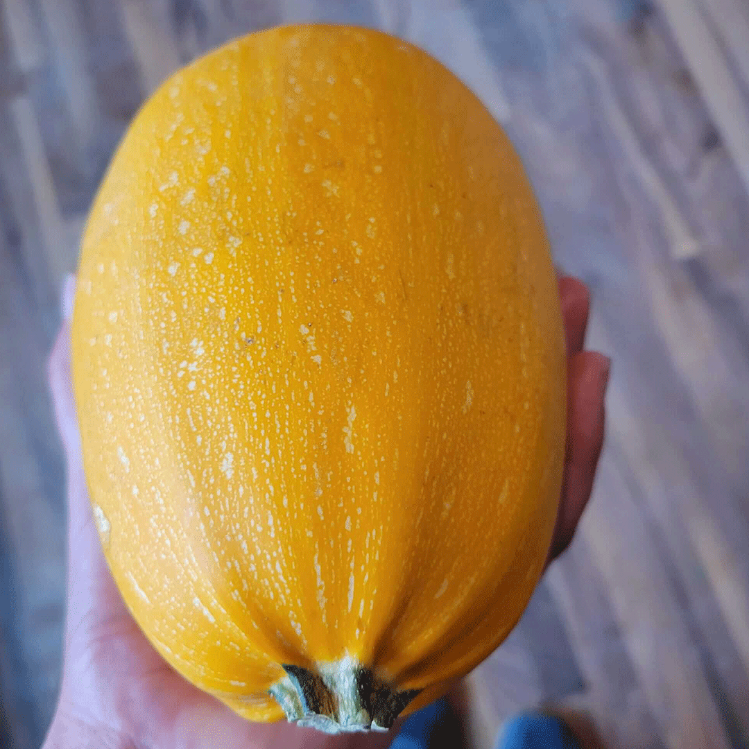 _Indigenius-Cuisine_0000s_0011_PHOTO-2022-02-27-22-30-42-21